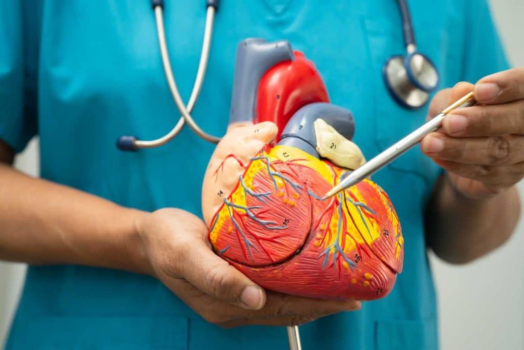 sport et maladies cardiovasculaires 1