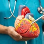 sport et maladies cardiovasculaires 1